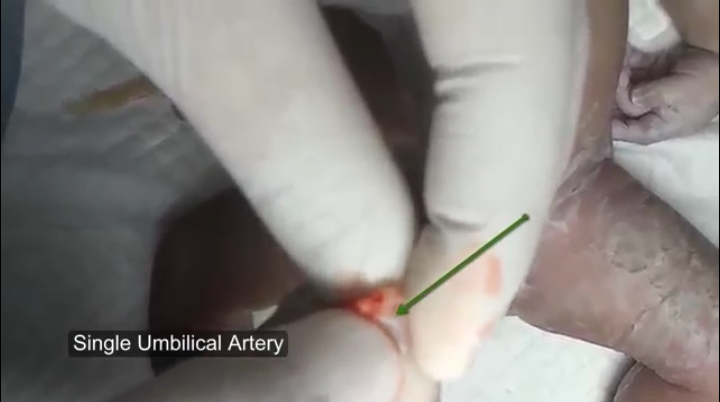 30856_Screenshot_2014-11-08-15-37-46-2