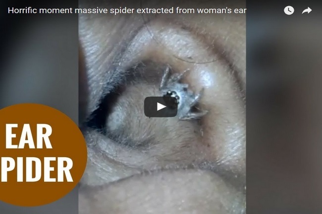 C9h9v_K_3UaSn4R1497141333_1497141342