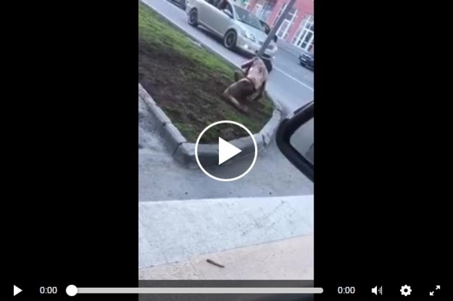 NB8kl0CgkSr3qMN1497933989_1497933994