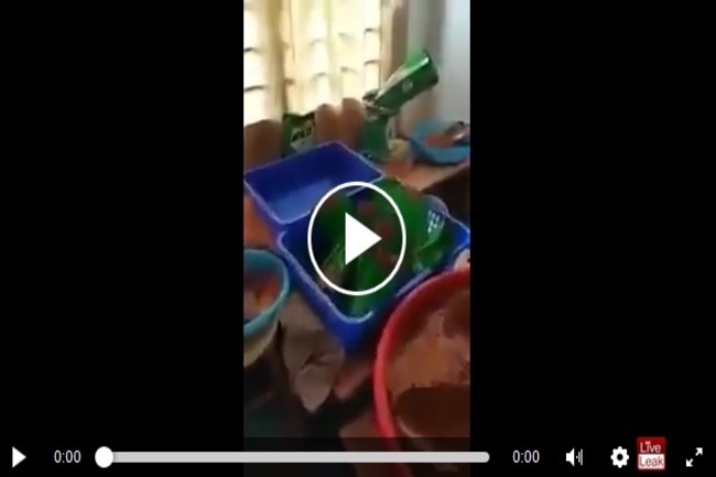 fJjKB_j9nHSBTHQ1497155678_1497155684