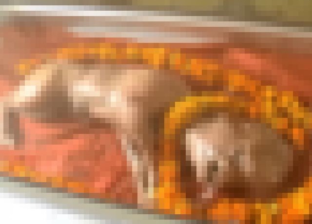 【閲覧注意】人間と動物がセ○クス（獣姦）した結果、ありえない生物が生まれる（動画）