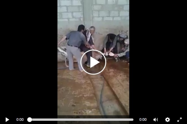 tCbK9zZzTIbjTgD1497156168_1497156174