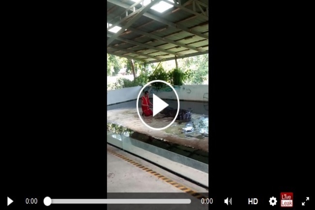 trgcGrqp43zMPVa1497589044_1497589050