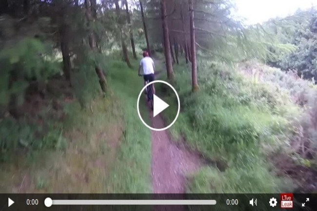 uTcpgqyTYWiNtOb1498013571_1498013577