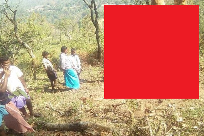 インド人も「初めて見た」というインドゾウの信じられない死に方がこちら・・・（画像）