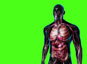 【超！閲覧注意】体を半分に切断された人間、わたしたちの想像を超える行動を起こす（動画）