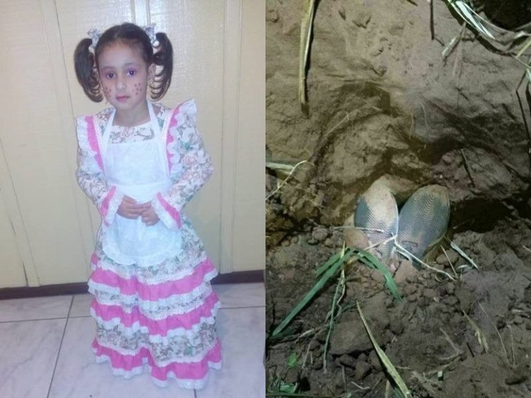 【閲覧注意】行方不明になっていた６歳の女の子、レ●プされ、こうなっていた・・・（画像）