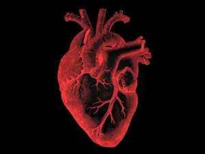 【閲覧注意】心臓の動きが外から見える人間が発見される（動画あり）