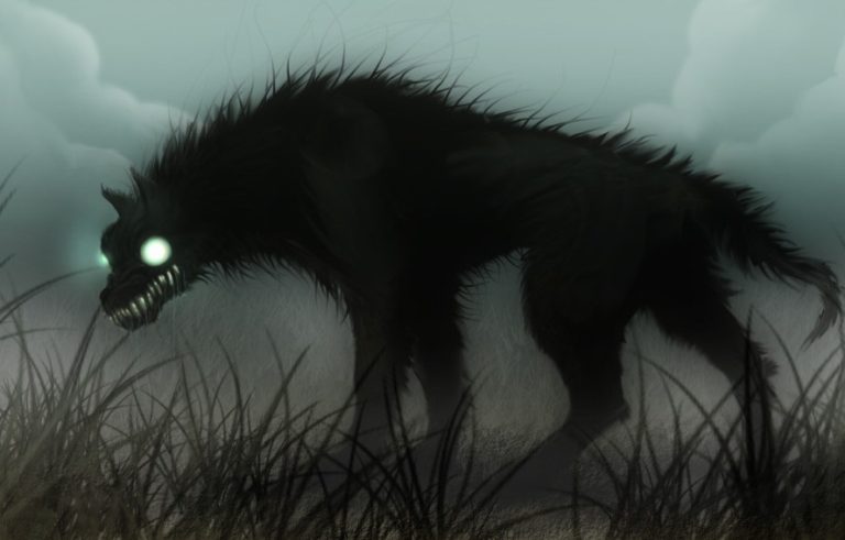 【閲覧注意】”化け物” みたいな犬を保護した結果・・・（画像あり）