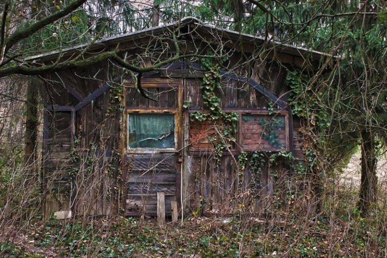 【超！閲覧注意】山の中にある廃墟でとんでもないものが見つかってしまう・・・（画像あり）