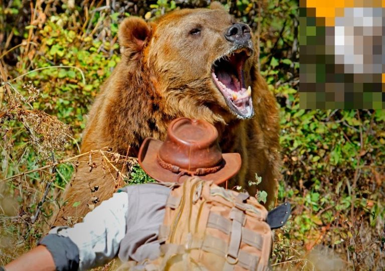 【閲覧注意】クマに ”保存食” にされた人間・・・・・（画像あり）