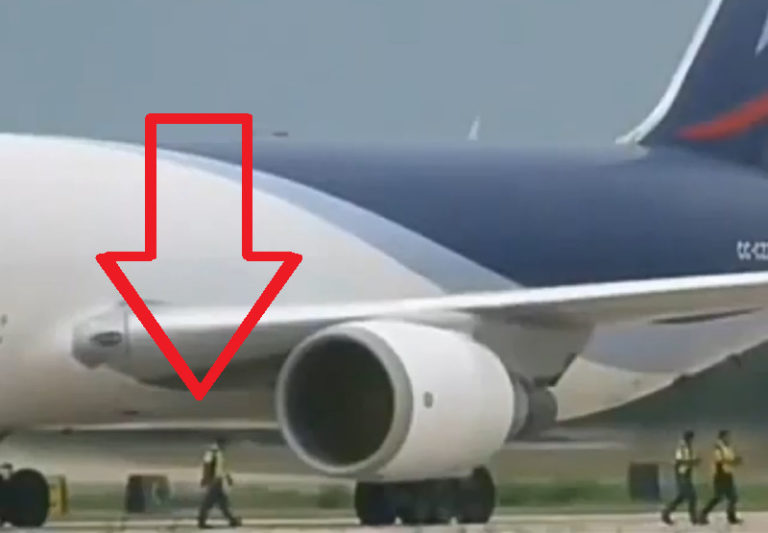 【閲覧注意】「飛行機のエンジンに吸い込まれる人」「サメに食われるサーファー」こういう真偽不明な動画が一番怖い