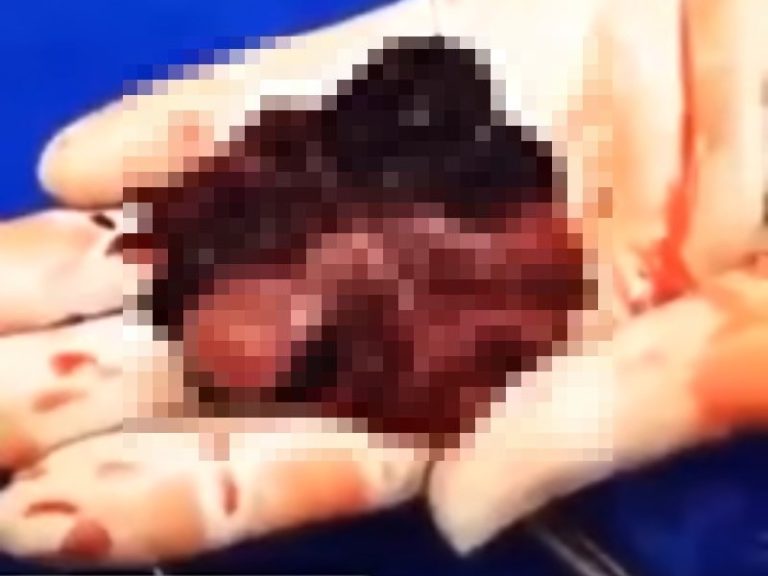 【閲覧注意】日本人女性は一日５００人も「この行為」をやっているらしい・・・（動画あり）