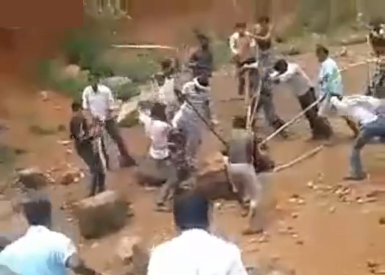 【衝撃映像】大型の肉食獣 vs. 武器を持った村人２０人。勝ったのは…