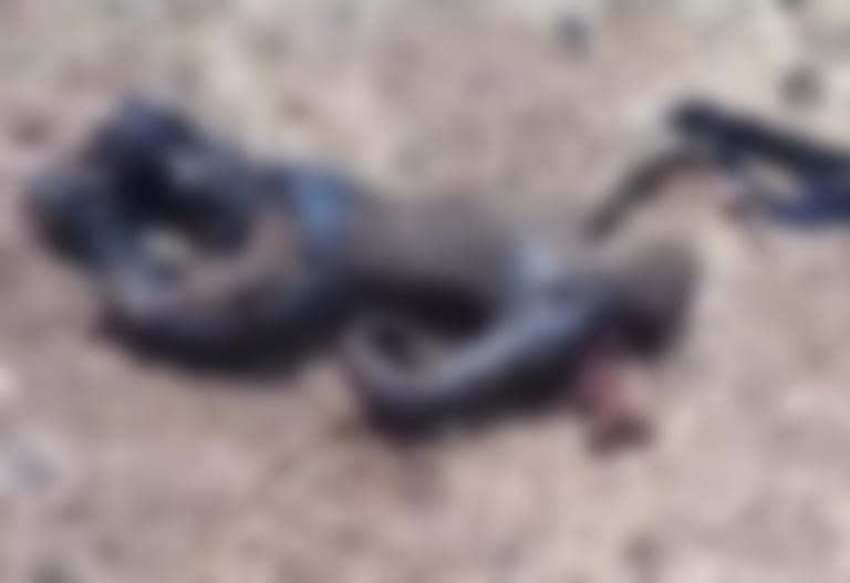 【閲覧注意】ISIS、自分たちを殺しに来たパイロットをこうしてしまう…（動画あり）