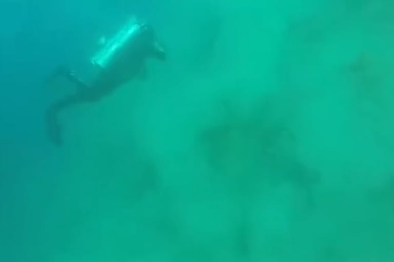 【衝撃】海でダイビング中にM5.9の地震が来たらこうなる・・・海底が凄い事に（動画あり）