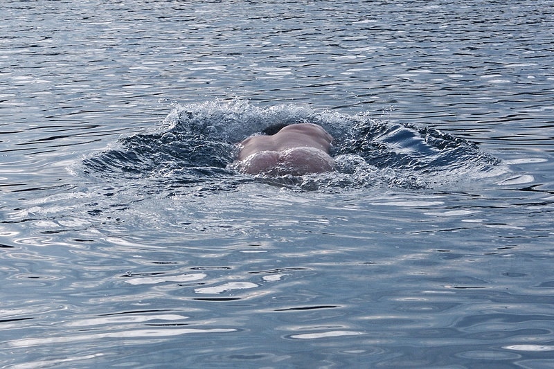 【閲覧注意】１００ｍの高さから水面に叩きつけられた人間は衝撃でこうなってしまうらしい - ポッカキット