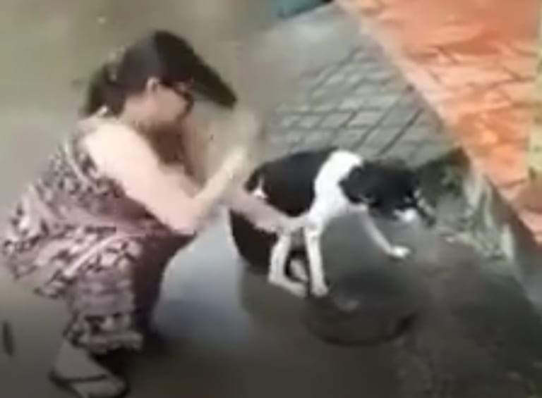 【閲覧注意】おばちゃん、近所のムカつく犬の足を切断！