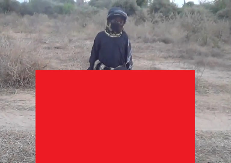 【閲覧注意】この小学生の動画、ガチでクソヤバい…（動画あり）