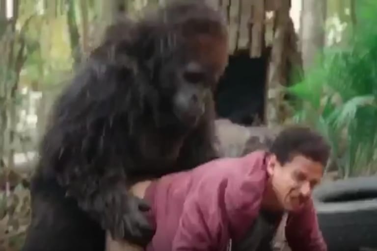 動物園でゴリラの檻に侵入して自撮りしてた男がゴリラにレ●プされるビデオｗｗｗｗｗｗ
