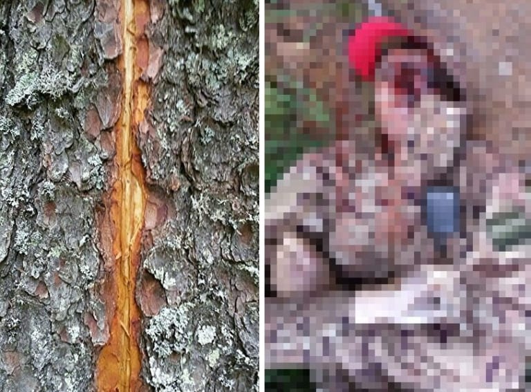 【閲覧注意】山に雷が落ちた時、真下にいた2人のハンターはどうなったか（画像あり）