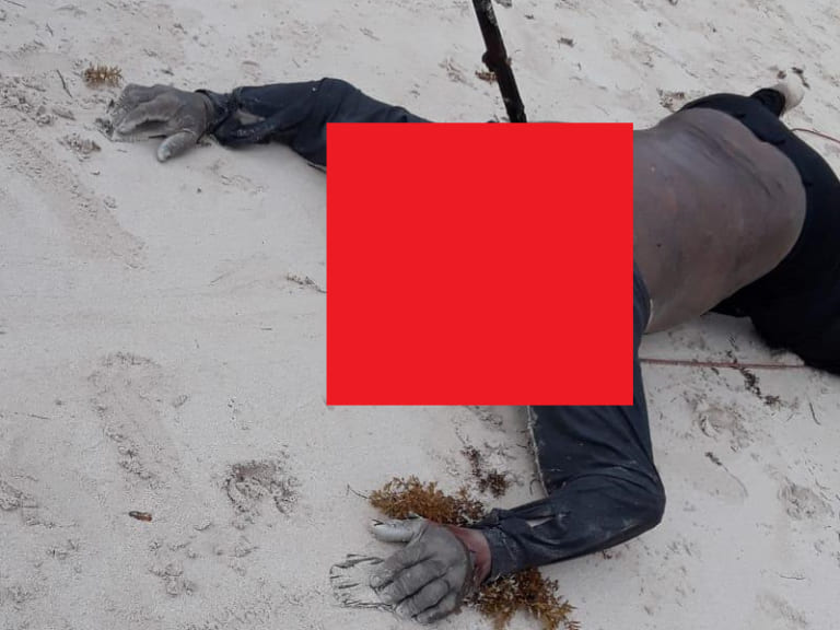 【閲覧注意】サメに頭をひと噛みされた男性、一瞬で頭部が全部無くなって死亡