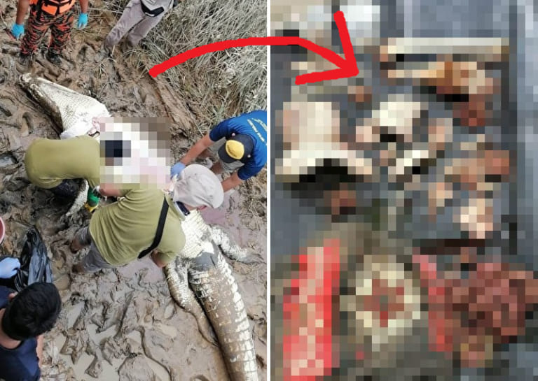 【閲覧注意】東南アジアで5mの巨大ワニ解体したら「コレ」が入ってたらしい…（画像）