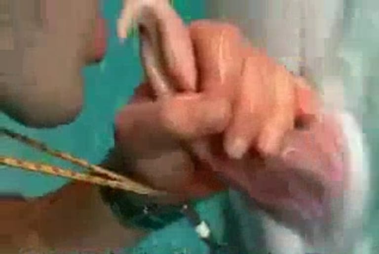 世界初の映像。「イルカにフェラチオした変態」