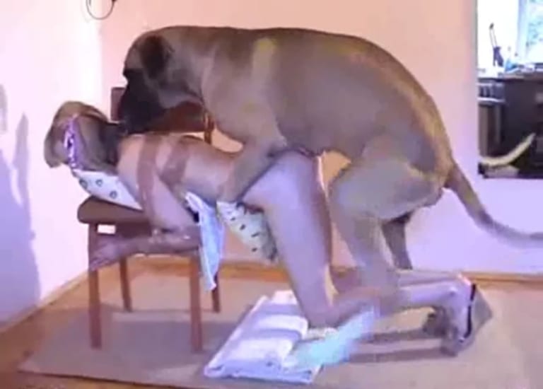 【動画】犬、近くの女のマ○コが凄い匂いだった結果ｗｗｗｗｗｗ