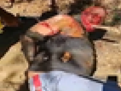 【閲覧注意】100人中99人が耐えられない「ガスバーナー拷問」の動画をご覧ください…