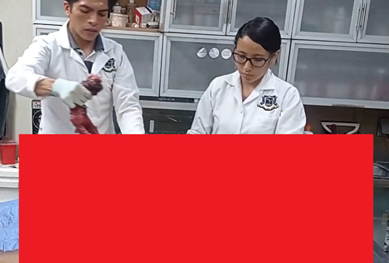 【超！閲覧注意】女子医大生、無表情でコレが出来る…（動画あり）
