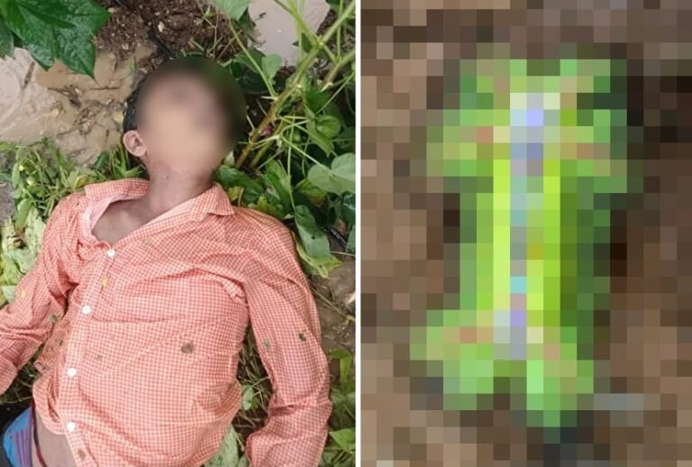 【閲覧注意】村で起きた無差別殺人事件、犯人はこの「正体不明の生物」だった…