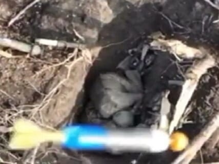 【衝撃映像】ウクライナの殺人兵器、ガチで容赦ない・・・ vs. ロシア兵