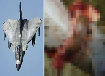 【超！閲覧注意】戦闘機（マッハ2）と衝突した人間の画像見た事ある？すごいぞ…