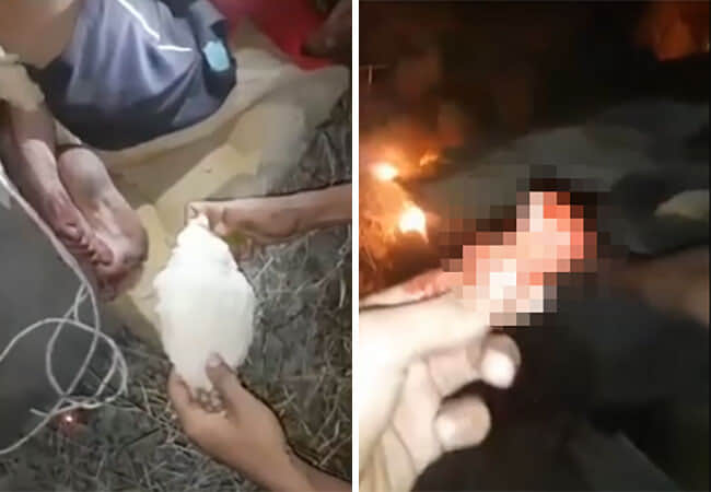 【閲覧注意】ギャング「この拷問に耐えたら生かしてやるよ」⇒ 結果（動画あり）