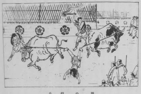 【閲覧注意】日本の全裸女が “牛裂きの刑” に処される動画、海外でヤバすぎると話題に…