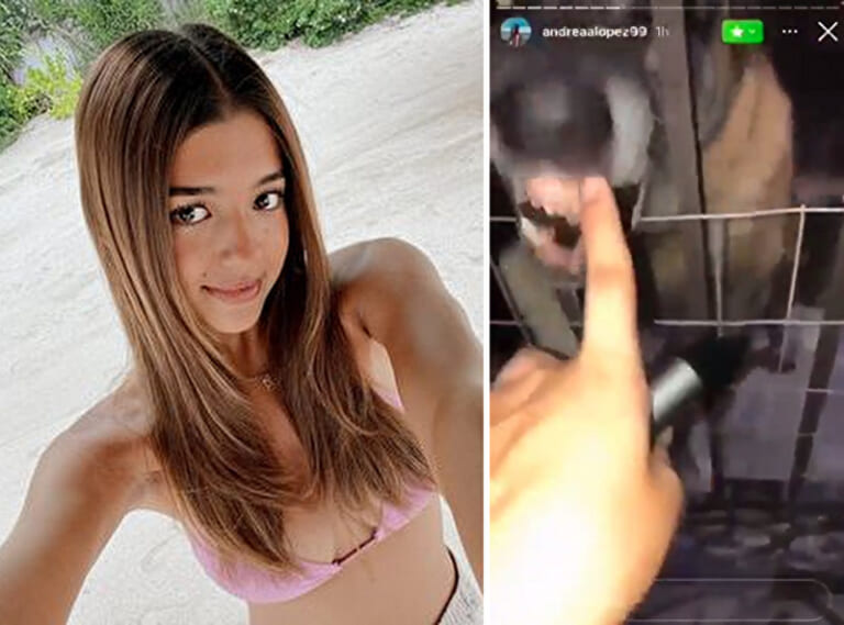 【閲覧注意】女さん、狂犬病の犬を挑発した結果・・・・・（動画あり）