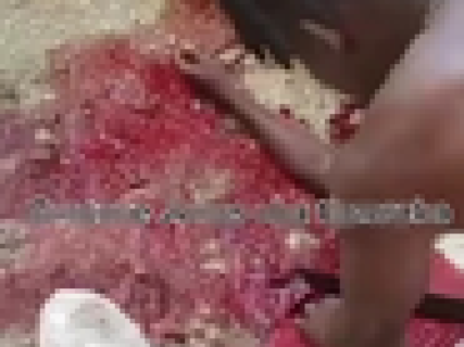 【閲覧注意】人間を料理して食う動画、ガチでヤバい