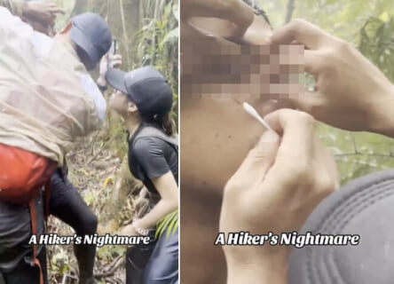 【閲覧注意】ジャングル探検家が一番恐れる「この状況」。もう諦めるしかない…（動画あり）