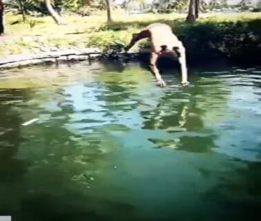 【閲覧注意】底に何があるか分からない池に飛び込んではいけない理由・・・（動画あり）