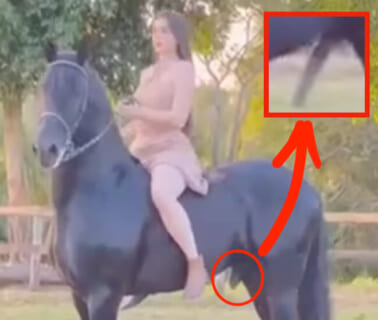 【衝撃映像】美女を乗せた馬、一瞬でフル勃起してしまうｗｗｗｗｗｗ（動画あり）