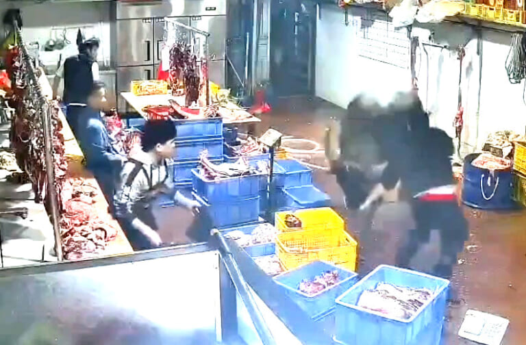 【衝撃映像】屠殺場の牛、自分が殺される事に気付きブチ切れてしまう・・・