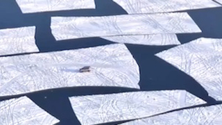 流れ出た流氷の上に車が取り残されてしまう絶望の動画