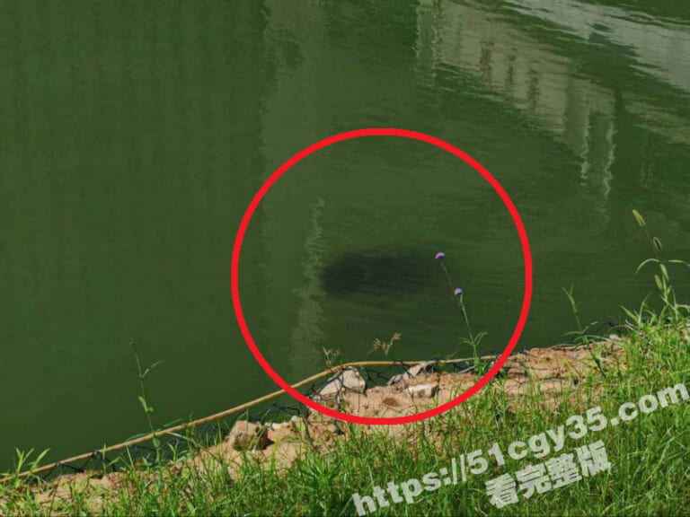 【閲覧注意】大学の池で「ガチでヤバいもの」が発見され閉鎖される。これはトラウマだろ…