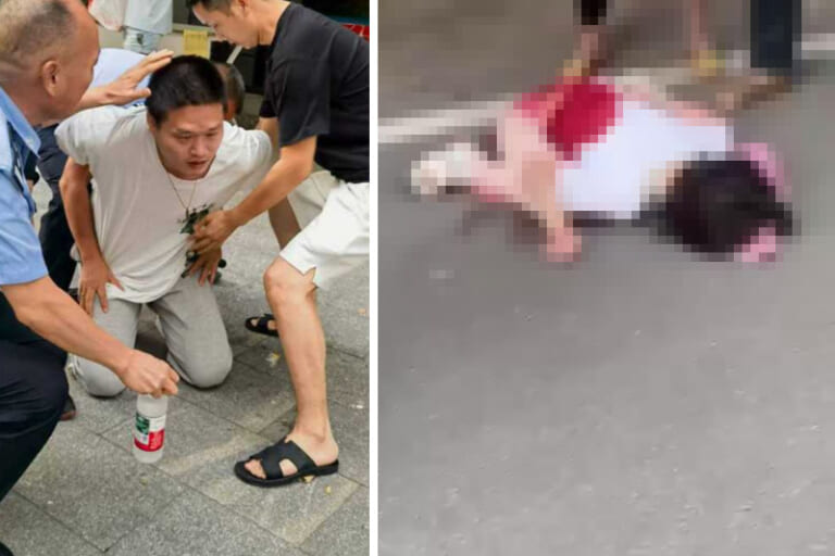【閲覧注意】無敵の人（31歳）、女子小学生（9歳）を路上でヤってしまう…（動画あり）