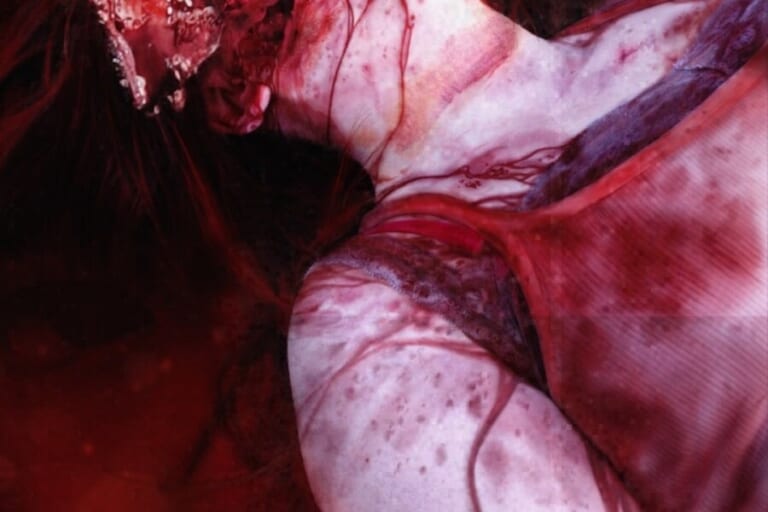 【閲覧注意】女性を殺害する本物のスナッフフィルム（殺人ビデオ）がヤバすぎると話題に