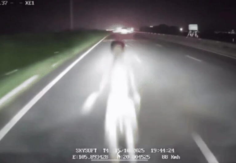 【閲覧注意】この死亡事故、避けれる人いる…？（動画あり）
