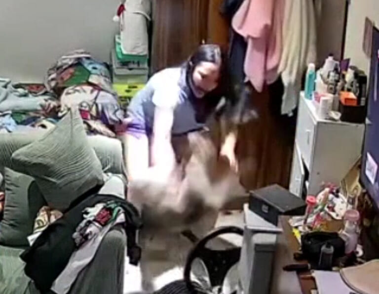 【閲覧注意】猫が本気で飼い主の女性を殺そうとする動画、めちゃくちゃ怖い…