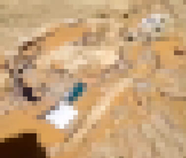 【閲覧注意】昼は45℃、夜は－40℃になる砂漠で死んだ人間、発見時の姿が怖すぎる（動画あり）