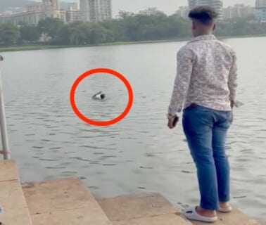 【恐怖映像】湖で泳いでた陽キャ、カメラが捉えた ”最期の瞬間” をご覧ください